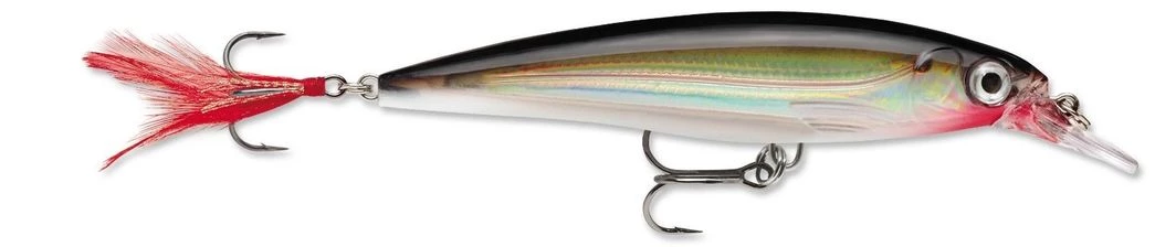 Fillet And Release Fishing Co. Rapala X-Rap XR-10 Diving Jerkbaits