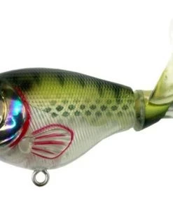 Fillet And Release Fishing Co. River2Sea Whopper Plopper