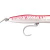 Fillet And Release Fishing Co. Williamson Popper Pro Topwater Popper