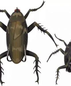 Fillet And Release Fishing Co. Lunkerhunt Reckless Roach All Freshwater Lures