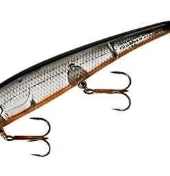 Fillet And Release Fishing Co. Bomber Saltwater Grade Heavy Duty Long A Hard Jerkbait All Saltwater Lures