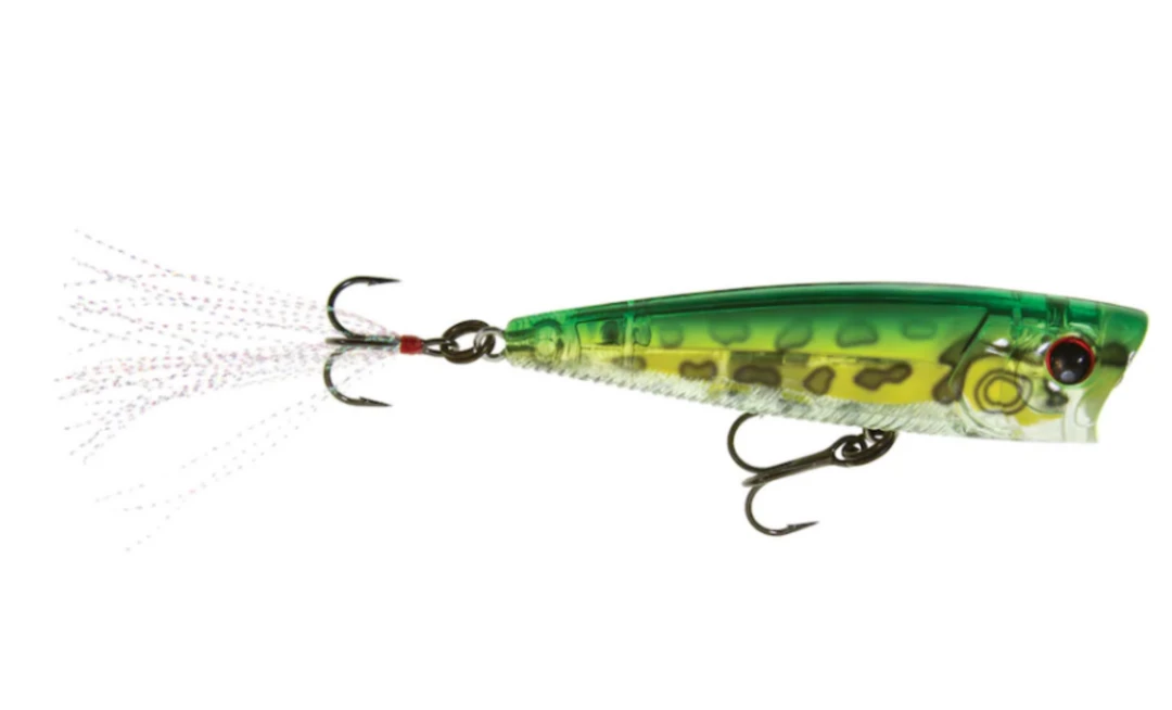 Fillet And Release Fishing Co. All Freshwater Lures Yo-Zuri 3DB Popper Lure