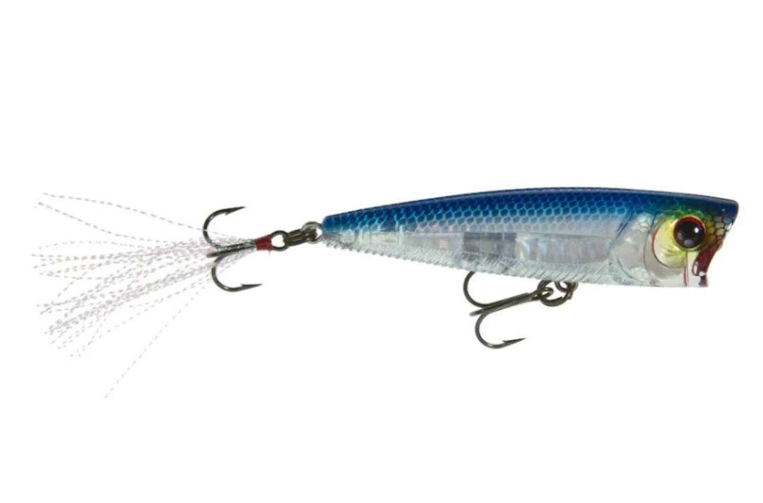 Fillet And Release Fishing Co. All Freshwater Lures Yo-Zuri 3DB Popper Lure