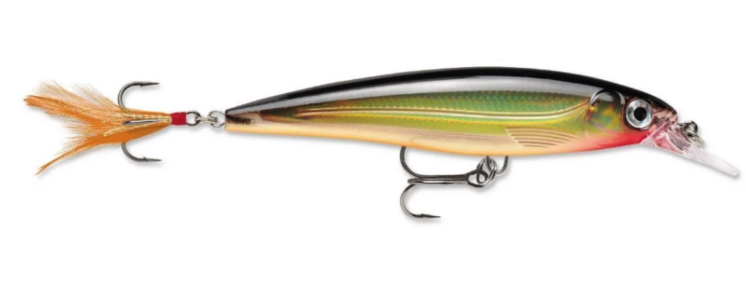 Fillet And Release Fishing Co. Rapala X-Rap XR-10 Diving Jerkbaits
