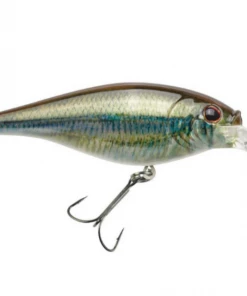 Fillet And Release Fishing Co. All Freshwater Lures Berkley Flicker Shad