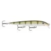 Fillet And Release Fishing Co. Rapala Scatter Rap Minnow All Freshwater Lures