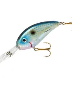 Fillet And Release Fishing Co. All Freshwater Lures Bomber Fat Free Shad Crankbaits