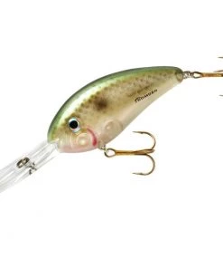 Fillet And Release Fishing Co. All Freshwater Lures Bomber Fat Free Shad Crankbaits