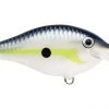 Fillet And Release Fishing Co. Rapala Scatter Rap Crank Crankbaits