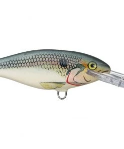 Fillet And Release Fishing Co. Rapala Shad Rap Deep Runner All Freshwater Lures