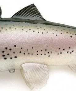 Fillet And Release Fishing Co. Castaic Boot Tail All Freshwater Lures