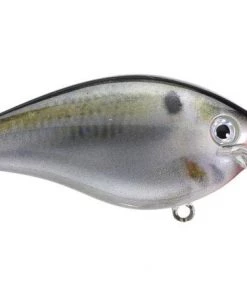 Fillet And Release Fishing Co. Strike King KVD 2.5 Square Bill Silent Crankbait