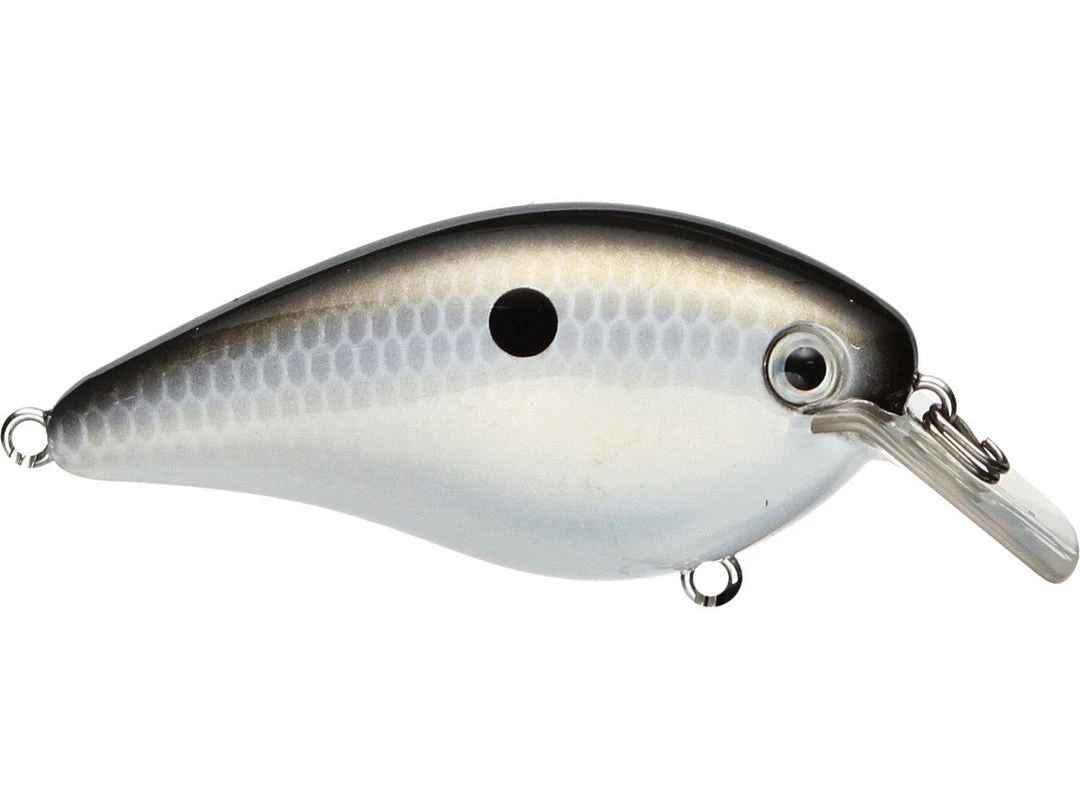 Fillet And Release Fishing Co. Strike King KVD 2.5 Square Bill Silent Crankbait