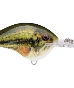 Fillet And Release Fishing Co. All Freshwater Lures Rapala DT Series Crankbaits