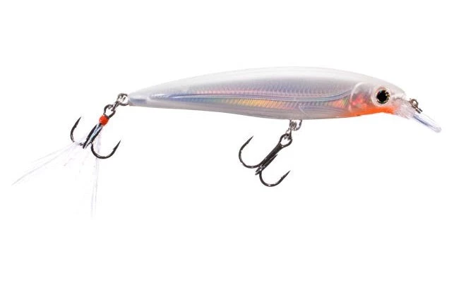 Fillet And Release Fishing Co. Rapala X-Rap XR-8 Diving Jerkbait