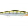 Fillet And Release Fishing Co. All Freshwater Lures Rapala Shadow Rap Deep Jerkbaits