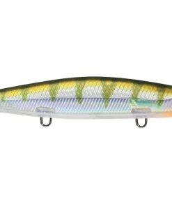 Fillet And Release Fishing Co. All Freshwater Lures Rapala Shadow Rap Deep Jerkbaits