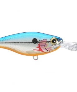 Fillet And Release Fishing Co. All Freshwater Lures Rapala Shad Rap RS Suspending Crankbaits