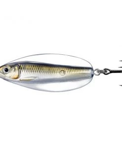 Fillet And Release Fishing Co. LIVE TARGET Erratic Shiner Casting Spoon