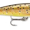 Fillet And Release Fishing Co. All Freshwater Lures Rapala CountDown