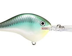 Fillet And Release Fishing Co. All Freshwater Lures Rapala DT Series Crankbaits
