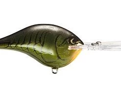 Fillet And Release Fishing Co. All Freshwater Lures Rapala DT Series Crankbaits