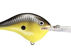 Fillet And Release Fishing Co. All Freshwater Lures Rapala DT Series Crankbaits