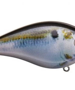 Fillet And Release Fishing Co. Strike King HC KVD 2.5 Wake Bait All Freshwater Lures