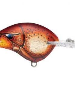 Fillet And Release Fishing Co. All Freshwater Lures Rapala DT Series Crankbaits