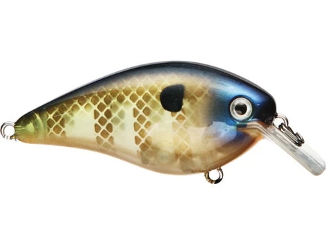 Fillet And Release Fishing Co. Strike King KVD 2.5 Square Bill Silent Crankbait