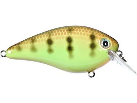 Fillet And Release Fishing Co. Strike King KVD 2.5 Square Bill Silent Crankbait