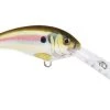 Fillet And Release Fishing Co. Rapala Shad Dancer Crankbaits