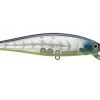 Fillet And Release Fishing Co. Lucky Craft Pointer Minnow Jerkbaits All Freshwater Lures