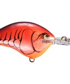 Fillet And Release Fishing Co. All Freshwater Lures Rapala DT Series Crankbaits
