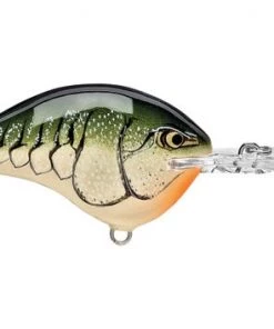 Fillet And Release Fishing Co. All Freshwater Lures Rapala DT Series Crankbaits