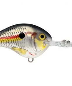 Fillet And Release Fishing Co. All Freshwater Lures Rapala DT Series Crankbaits