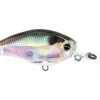 Fillet And Release Fishing Co. Yo-Zuri 3DR Series Mid Crank All Freshwater Lures