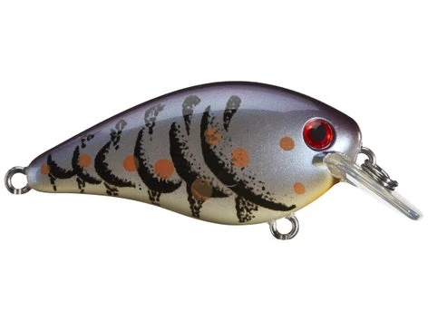 Fillet And Release Fishing Co. Strike King KVD 1.0 Square Bill Silent Crankbait All Freshwater Lures