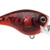 Fillet And Release Fishing Co. Rapala Balsa Xtreme BX Brat Squarebill Crankbaits All Freshwater Lures