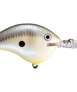 Fillet And Release Fishing Co. All Freshwater Lures Rapala DT Series Crankbaits