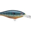 Fillet And Release Fishing Co. Rapala Shad Rap Deep Runner All Freshwater Lures
