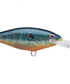 Fillet And Release Fishing Co. Rapala Shad Rap Deep Runner All Freshwater Lures