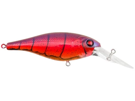 Fillet And Release Fishing Co. All Freshwater Lures Berkley Bad Shad Crankbait