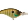 Fillet And Release Fishing Co. Berkley Frittside Crankbait All Freshwater Lures