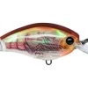 Fillet And Release Fishing Co. All Freshwater Lures Yo-Zuri 3DR Series Shallow Crank