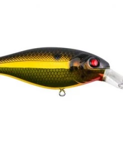 Fillet And Release Fishing Co. All Freshwater Lures Berkley Bad Shad Crankbait