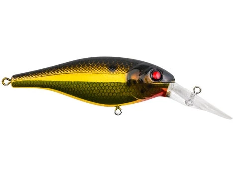 Fillet And Release Fishing Co. All Freshwater Lures Berkley Bad Shad Crankbait