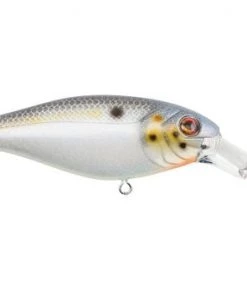 Fillet And Release Fishing Co. All Freshwater Lures Berkley Bad Shad Crankbait