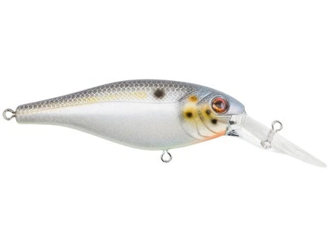 Fillet And Release Fishing Co. All Freshwater Lures Berkley Bad Shad Crankbait