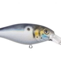 Fillet And Release Fishing Co. All Freshwater Lures Berkley Bad Shad Crankbait